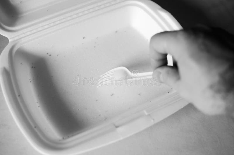 Can You Microwave Styrofoam Plates?