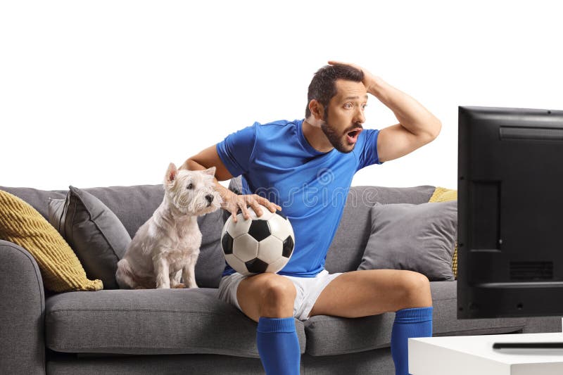 Male-idrottare med en hund som sitter på en soffa som håller fotboll och tittar på en match på tv arkivbild