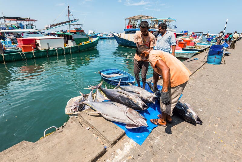 Fish Market In Male, Maldives Editorial Image Image of
