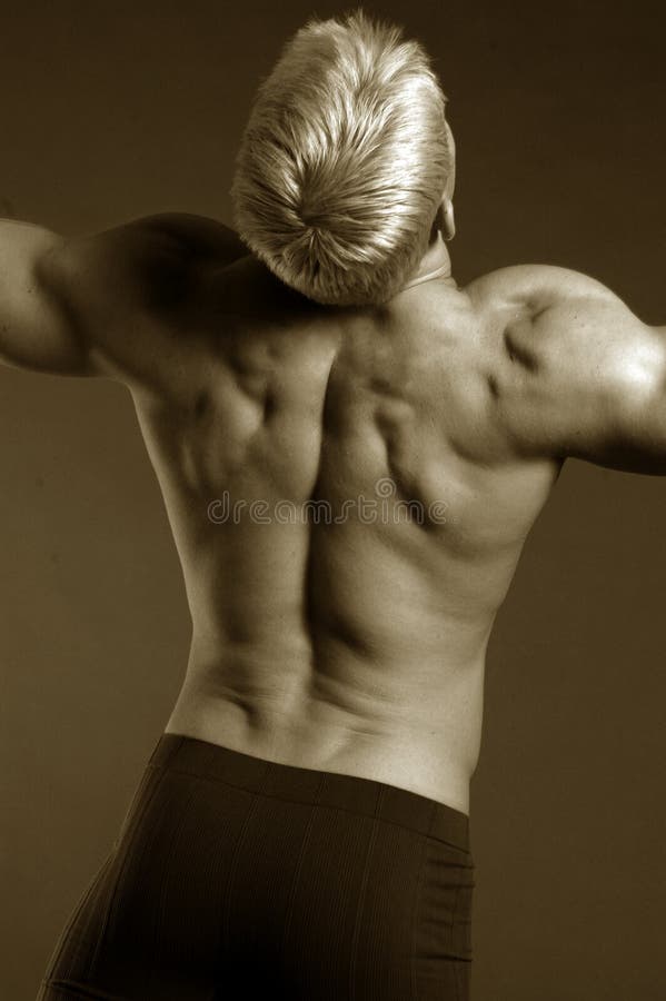 Male muscle