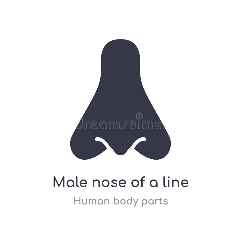 male nose of a line outline icon. isolated line vector illustration from human body parts collection. editable thin stroke male stock illustration male nose of a line outline icon. isolated line vector illustration from human body parts collection. editable thin stroke male stock illustration