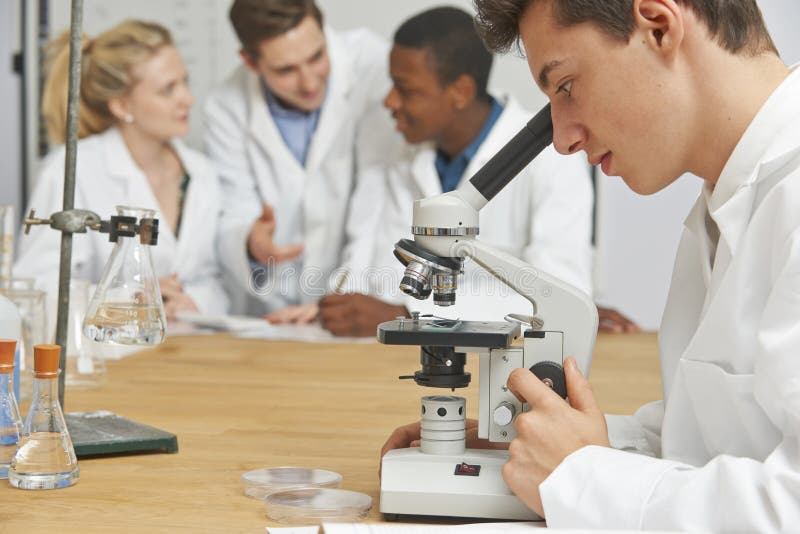Male Pupil Using Microscope In Science Class royalty free stock photography Male Pupil Using Microscope In Science Class royalty free stock photography