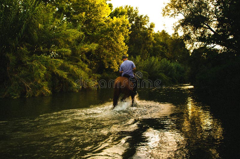Male Riding a Horse through a River in the Forest in Summer Editorial