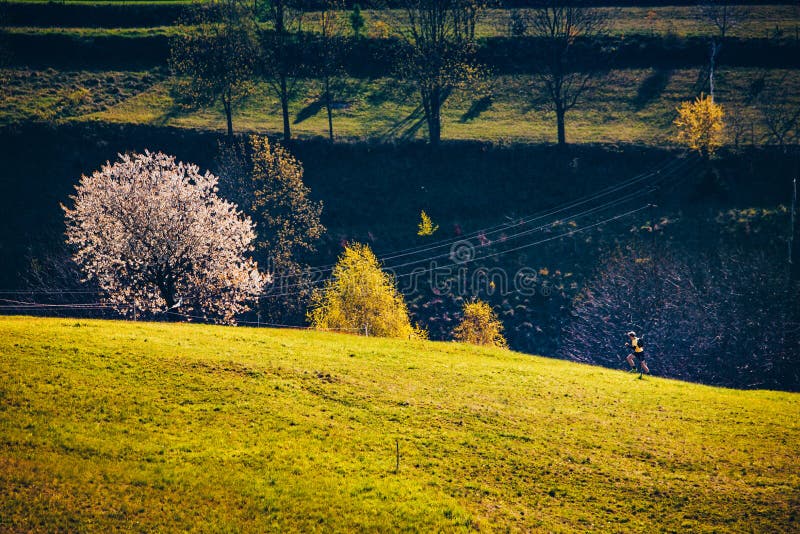 Male runner training in spring morning nature. Man running up hill. Beautiful spring scenery in the background. Hrinova village in