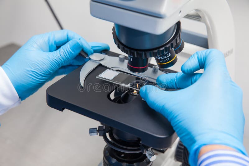 Male scientist looking at slides under the microscope stock images