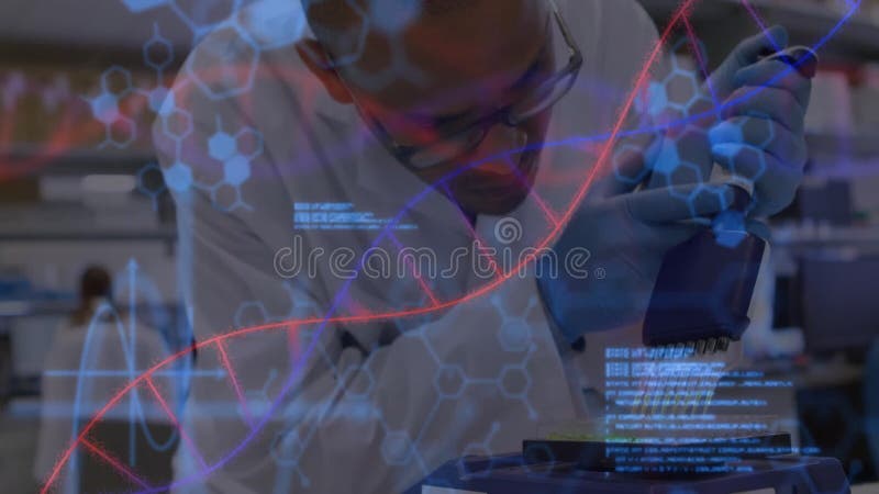 Male scientist pipetting microplate in genetics lab, showing floating double helix hexagons code stock video footage