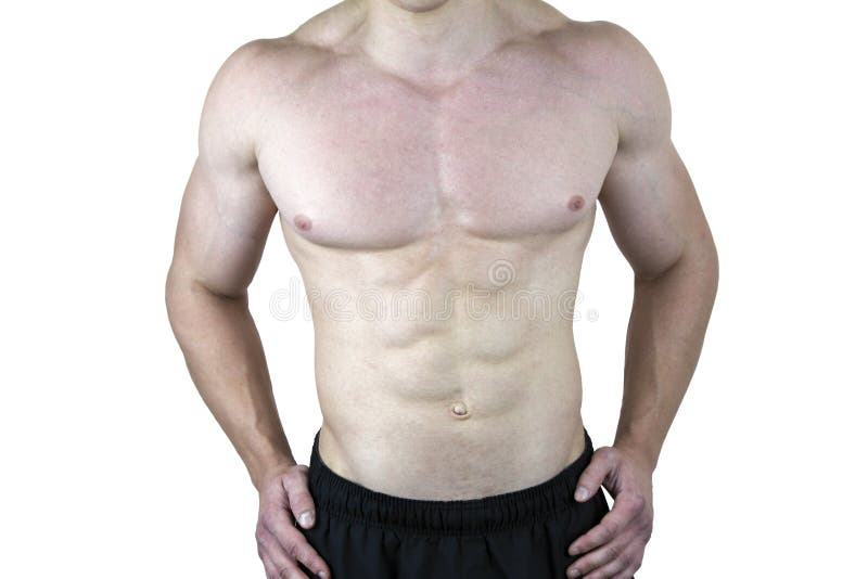 Male Torso