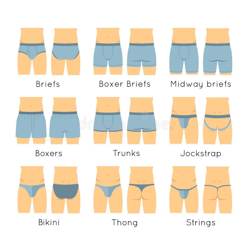 Men underwear types. Man underpants infographic design elements, male model  wearing different underclothes boxers trunks briefs thong. Vector set Stock  Vector Image & Art - Alamy