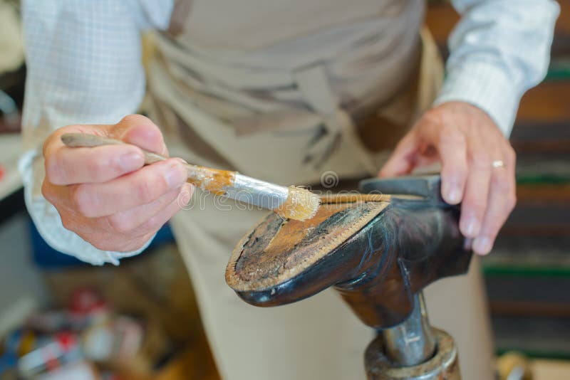 Male Worker Fixing Shoe Sole Stock Photo Image of base, bottom 266506464