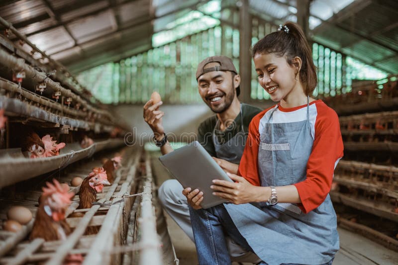 Male worker holds an egg while female worker using tablet royalty free stock photos
