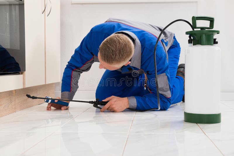 Male Worker Spraying Pesticide On Cabinet royalty free stock photos Male Worker Spraying Pesticide On Cabinet royalty free stock photos