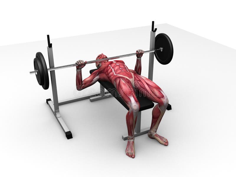 male workout - bench press stock illustration