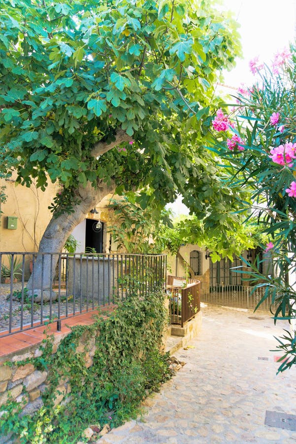 Malerischer Hof in der alten spanischen Stadt stockfotografie Malerischer Hof in der alten spanischen Stadt stockfotografie
