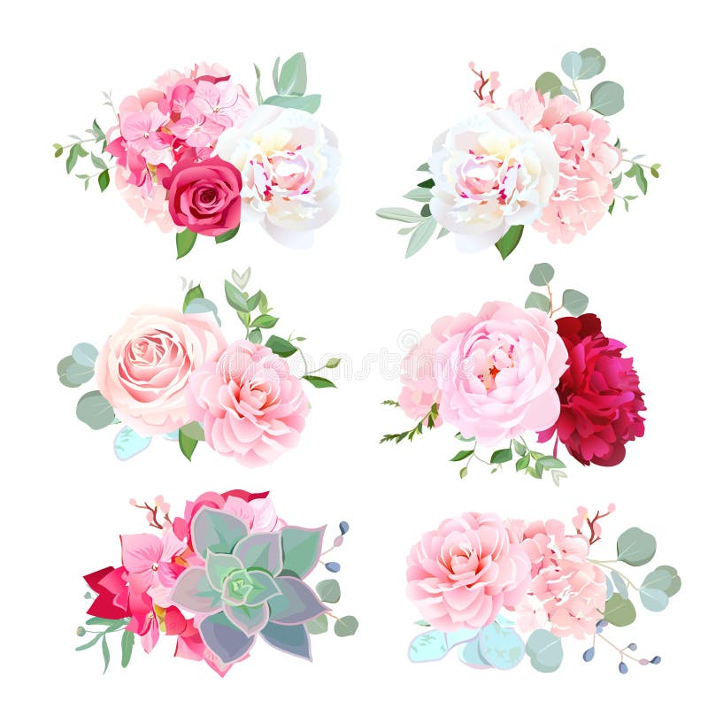 Mali ślubni bukiety peonia, hortensja, kamelia, wzrastali, succ ilustracja wektor Mali ślubni bukiety peonia, hortensja, kamelia, wzrastali, succ ilustracja wektor