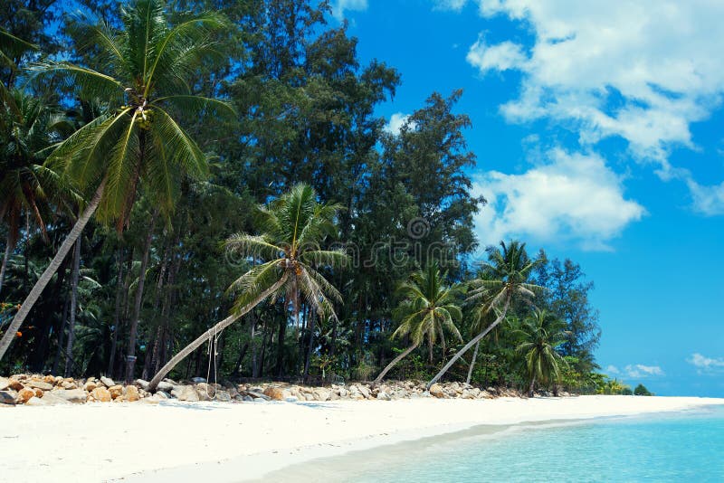 Malibustrand in Koh Phangan Island, Thailand stock afbeeldingen Malibustrand in Koh Phangan Island, Thailand stock afbeeldingen