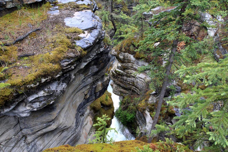 Maligne Canyon