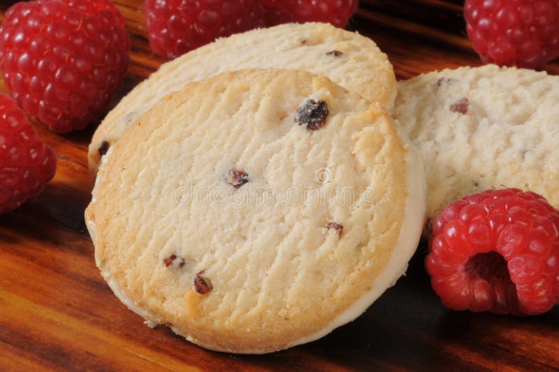 Malinowi shortbread ciastka zdjęcie royalty free