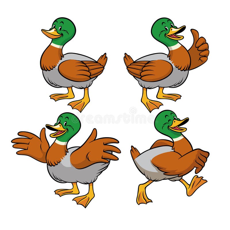 Mallard duck with cartoon style royalty free illustration