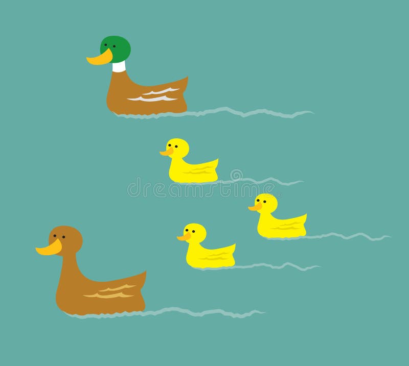 Mallard Duck Family vector illustration