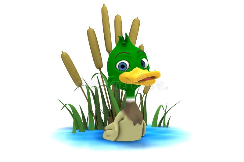 Mallard duck sitting in pond stock illustration