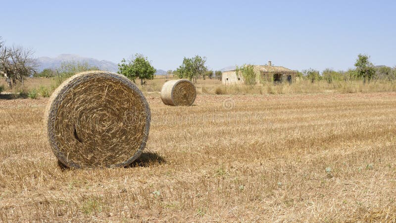 Mallorca fält i sommar med sugrörbaler arkivbilder Mallorca fält i sommar med sugrörbaler arkivbilder