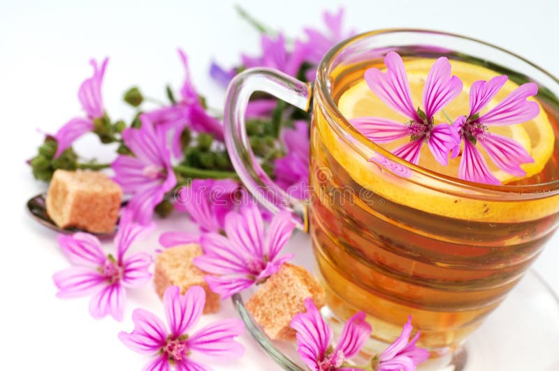 Mallow tea stock photo. Image of glass, breakfast, leaves 10065760