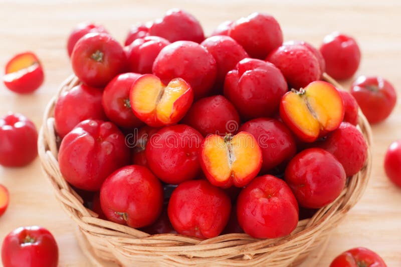 Malpighia glabra - κόκκινο acerola, τροπικός fruit-bearing θάμνος μέσα