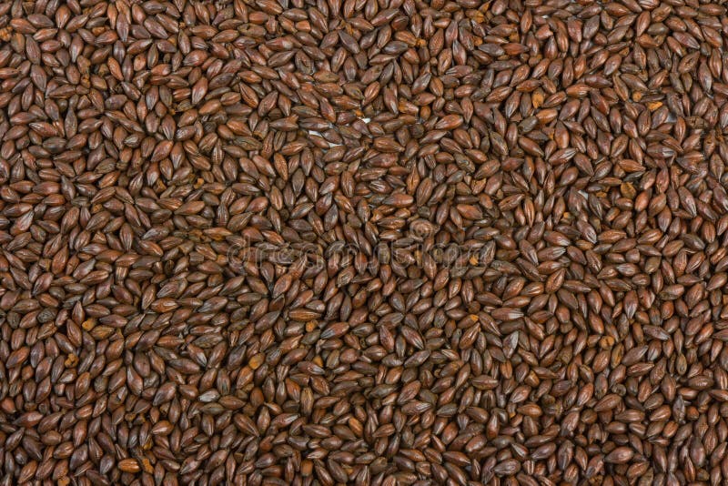 Malt background royalty free stock photos