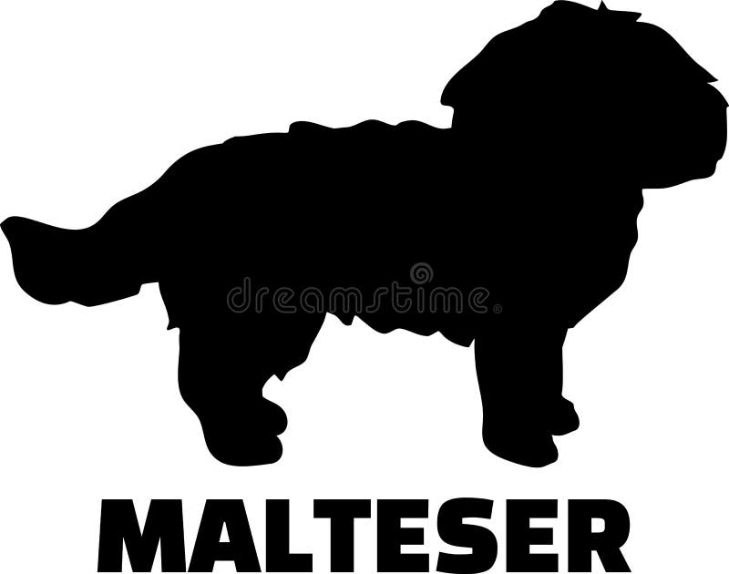 Download Maltese Silhouette Stock Illustrations 339 Maltese Silhouette Stock Illustrations Vectors Clipart Dreamstime
