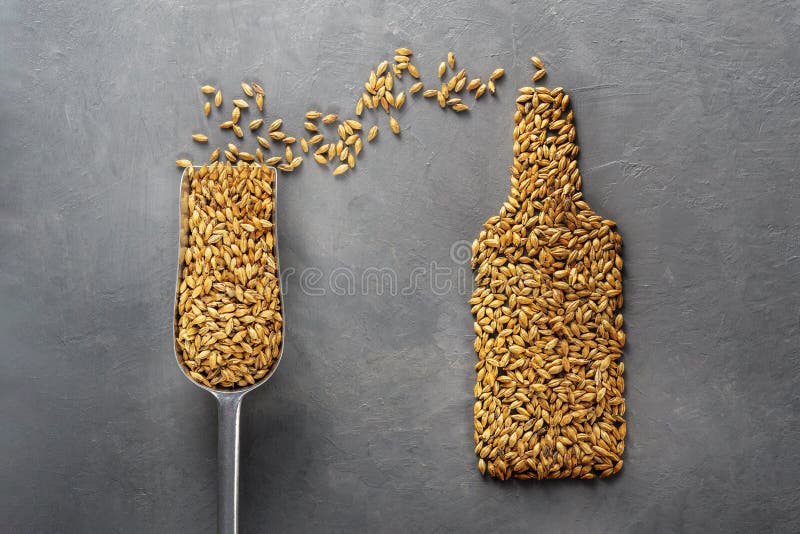 Malt scoops with different roasting on a concrete background. Malt scoops with different roasting on a concrete background.