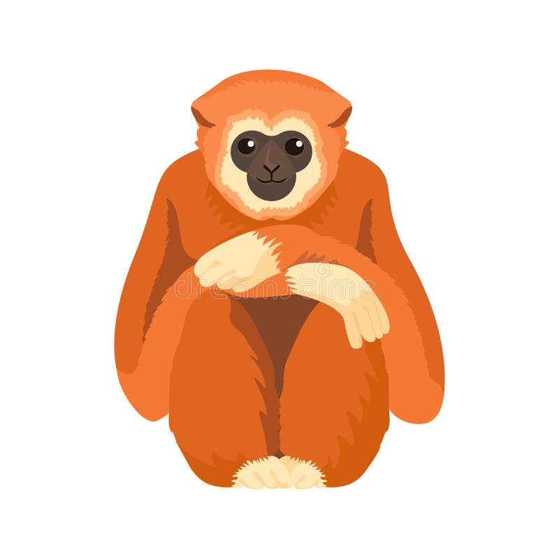 Desenho De Macaco Gibão De Mão Branca Bonito Sentado PNG , Animal