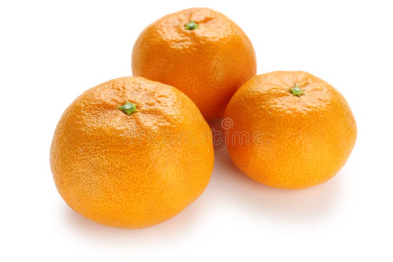 Mamami Orange , Japanese High Quality Citrus Fruit Stock Photo Image
