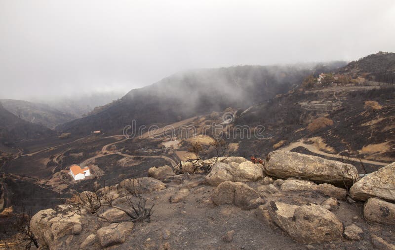 Mamie Canaria après incendie de forêt image stock Mamie Canaria après incendie de forêt image stock