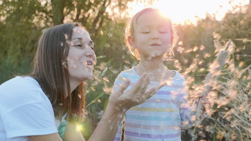 Mamma och dotter som har roligt och blåser maskrosfrö, medan koppla av på naturen