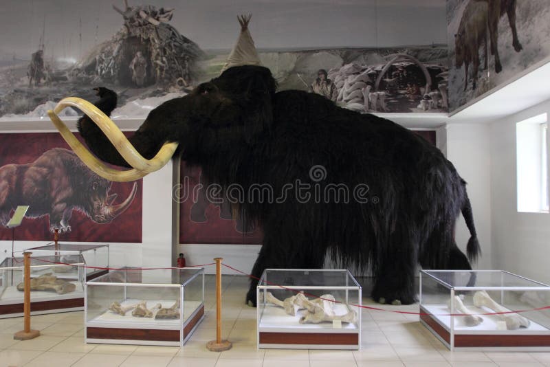 Mammoth in the Archeological Museum-Reserve `Kostyonki` near Voronezh city, Russia