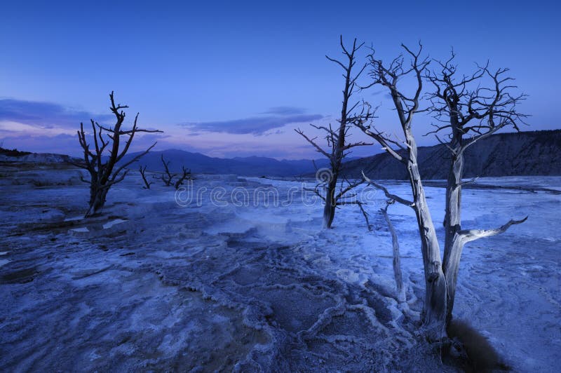 Mammoth Hot Springs