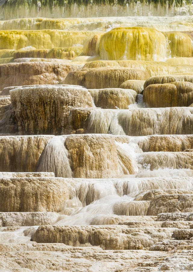 Mammoth Hot Springs