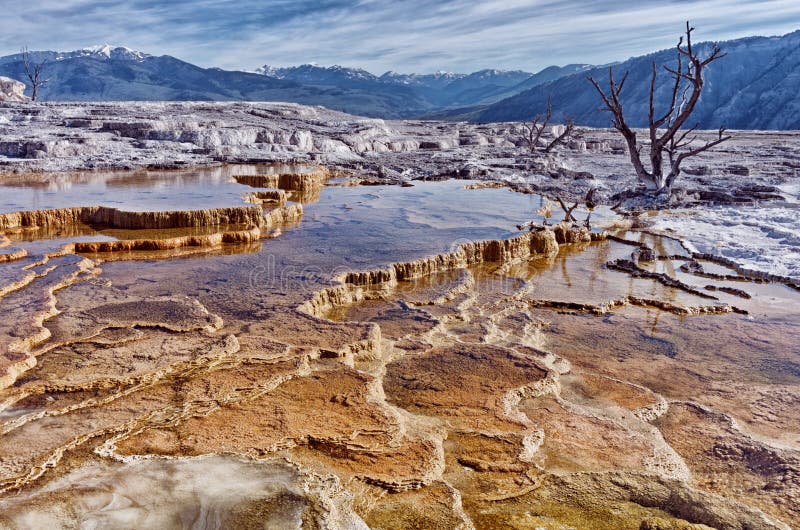 Mammoth Hot Springs in Nationalpark Stockbild Bild von geologie
