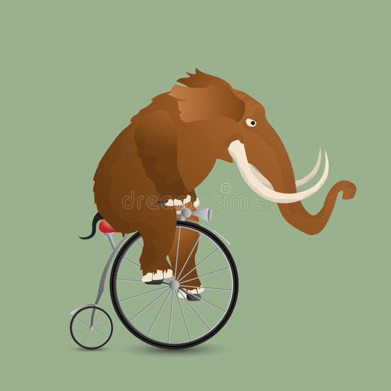 Mammut auf einem Fahrrad vektor abbildung. Illustration von antike -  24975481