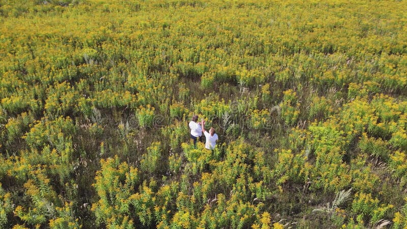Mamá y su hijo felices juegan graciosos entre la alta vista aérea de la hierba. almacen de metraje de vídeo