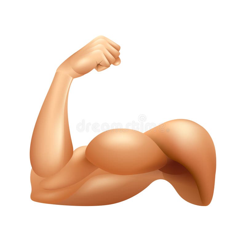 https://thumbs.dreamstime.com/b/man-arm-muscle-isolated-white-vector-photo-realistic-illustration-95448869.jpg