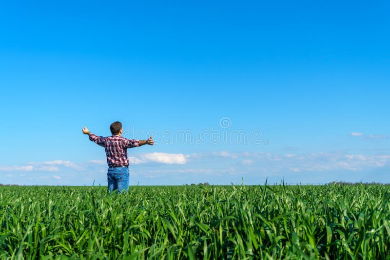 A man as a farmer poses in a field, dressed in a plaid shirt and jeans, he looks into the distance and raises his hands high in the sun