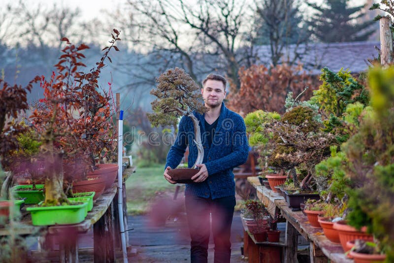 Man Bonsai Artist in His Bonsai Tree Farm Stock Photo Image of bonsai