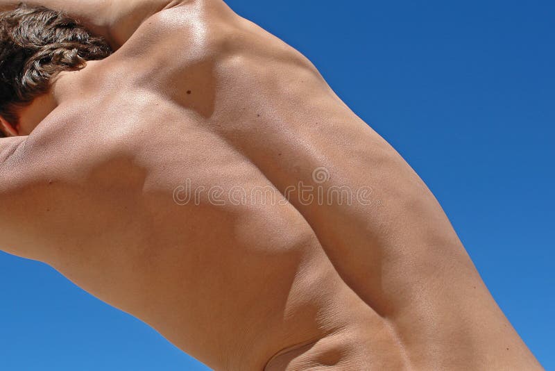 Man back royalty free stock images Man back royalty free stock images