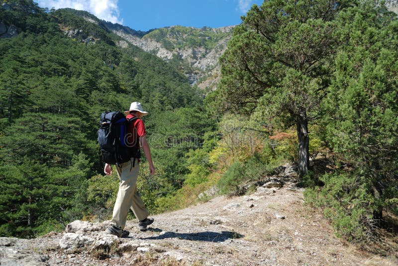 Man with backpack royalty free stock photos