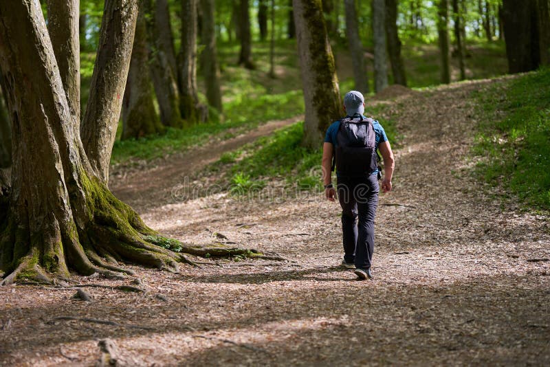 Man with Backpack Hiking in the Forest Stock Image Image of adventure