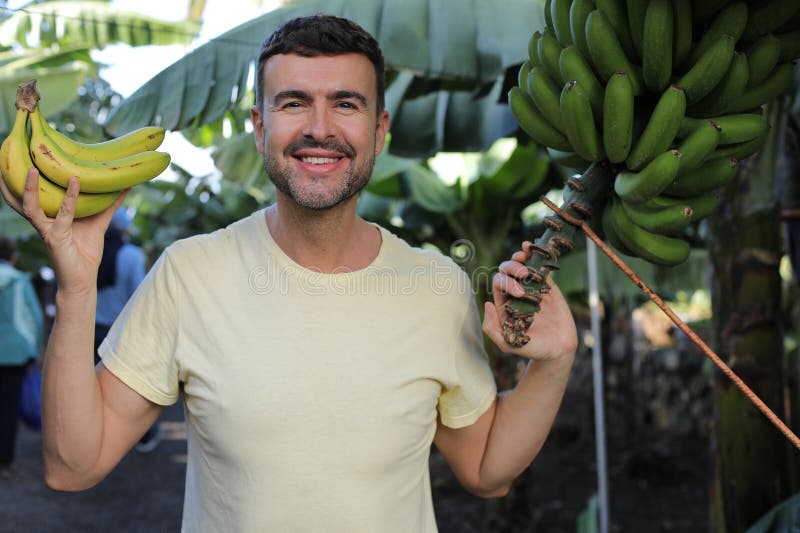 Man in a banana plantation stock image