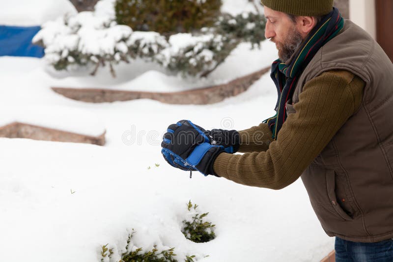 Man with beard sculpts snowball in yard royalty free stock images