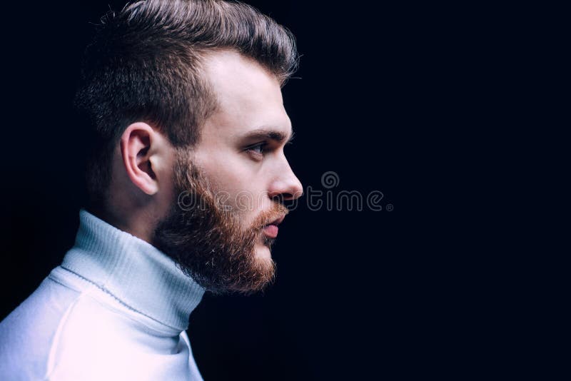 Man Bearded Macho Close Up Face. Barbershop Concept. Beard Grooming.  Hipster Style Beard Stock Image - Image of bearded, fashion: 170730009