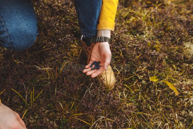 Man with berries on his palm stock image Man with berries on his palm stock image
